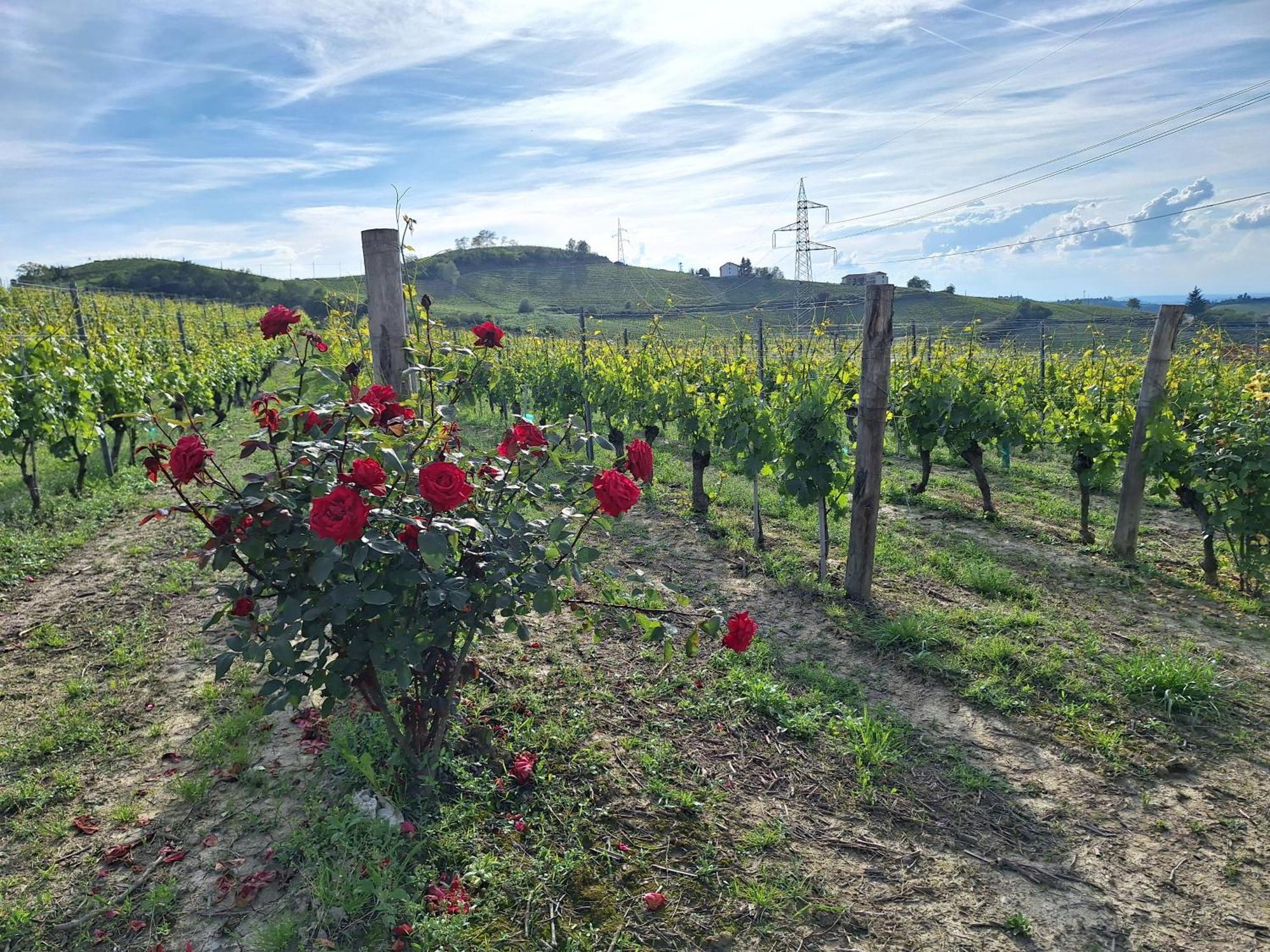 Camo Agriturismo Ca Trinche المظهر الخارجي الصورة